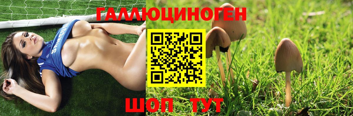 Галлюциногенные грибы Psilocybine cubensis Георгиевск